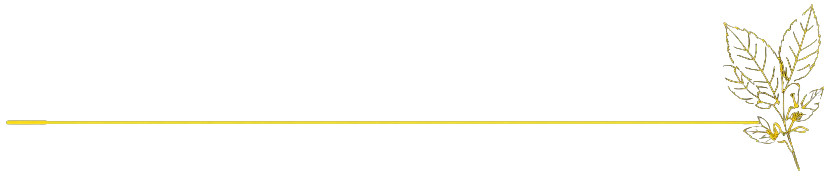 risco amarelo com folha