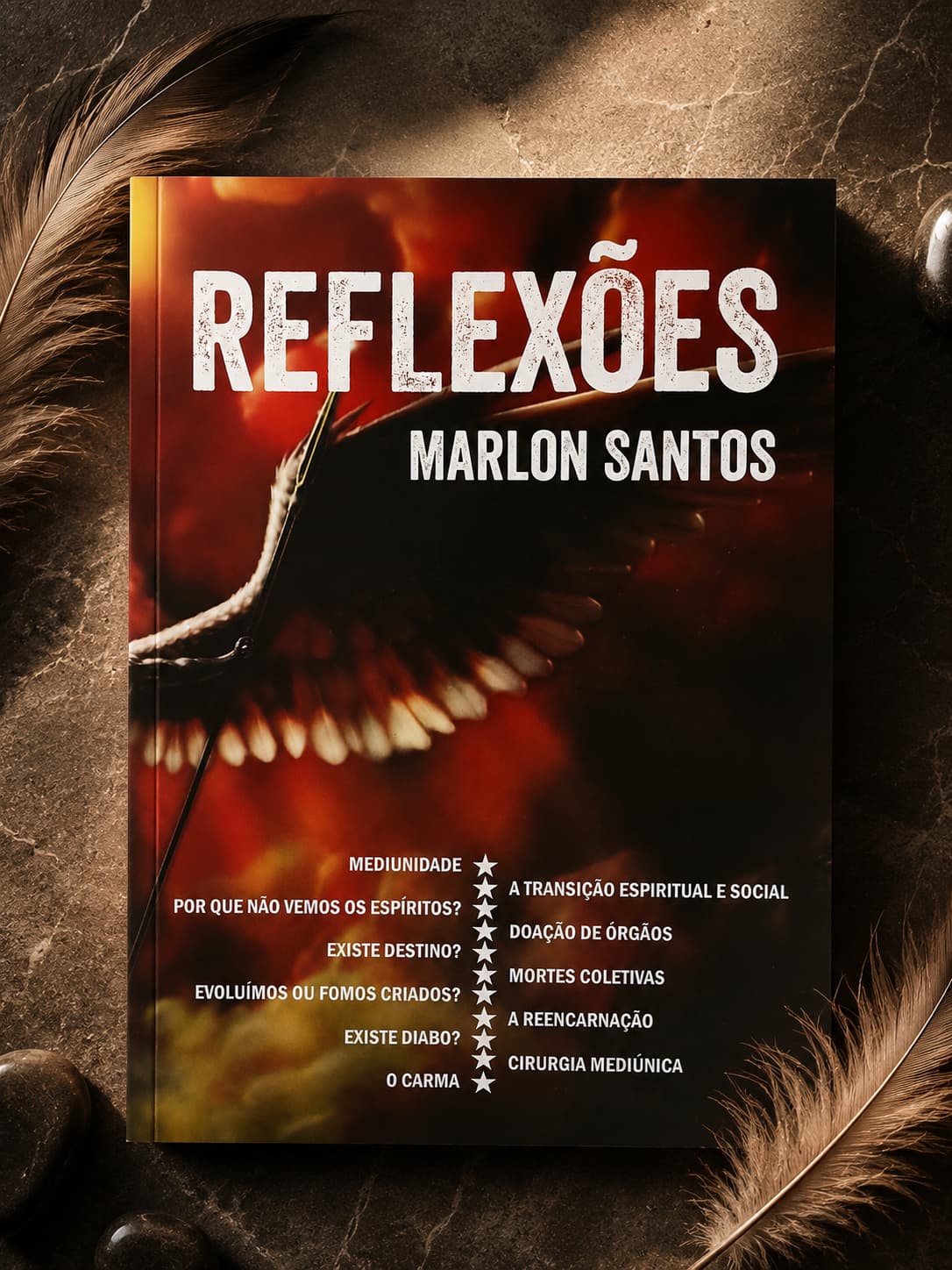 imagem-do-livro