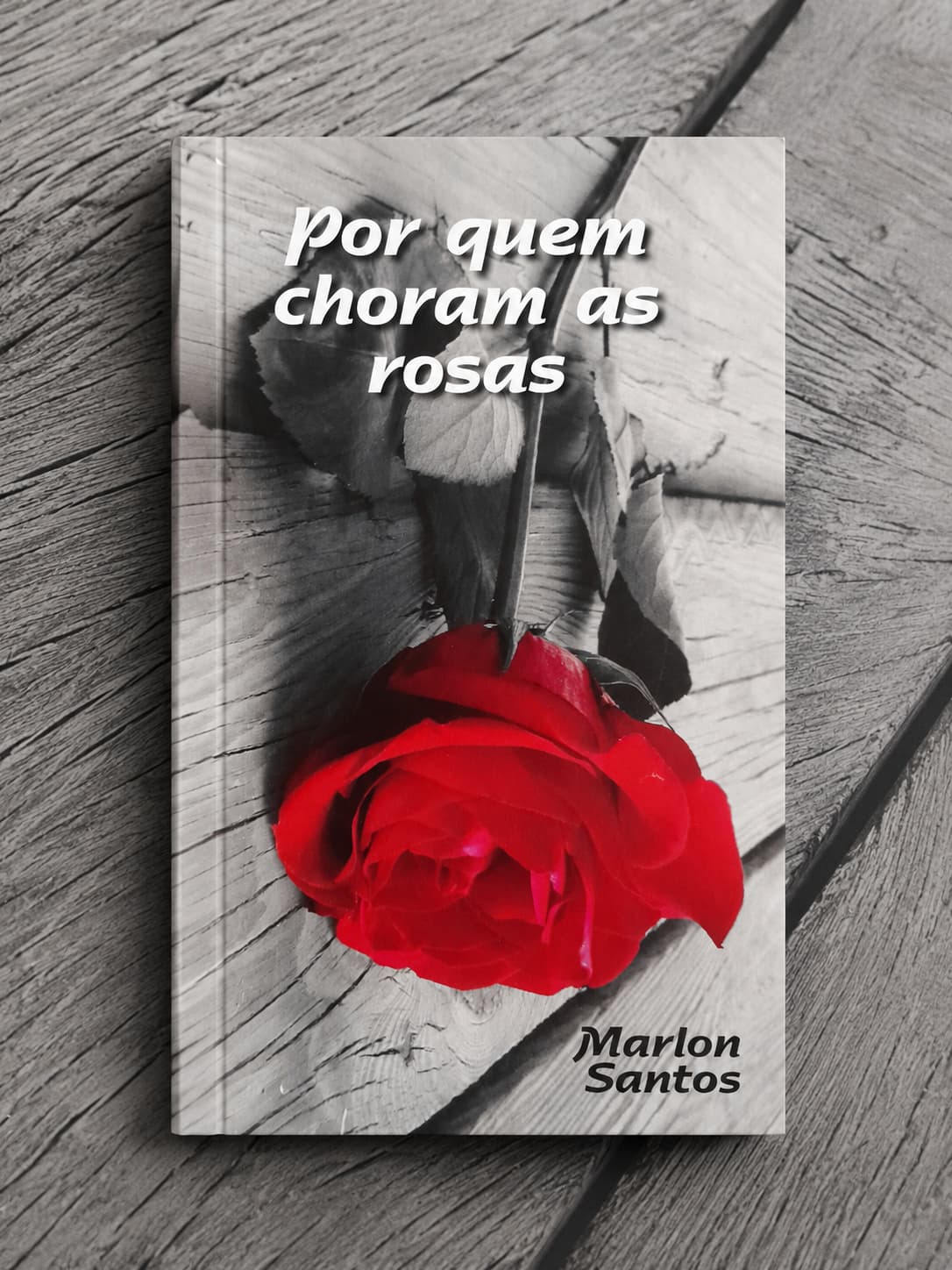 imagem-do-livro